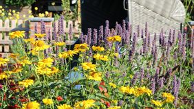 Blog kleiner garten